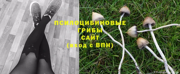 MESCALINE Осинники