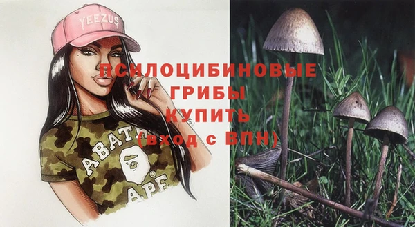 MESCALINE Осинники