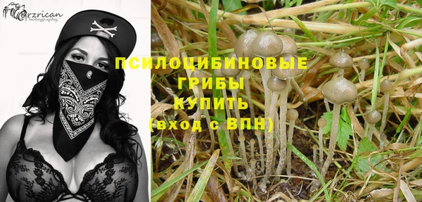 круглые Алзамай