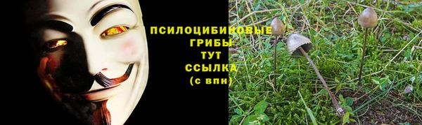прущие грибы Алексин